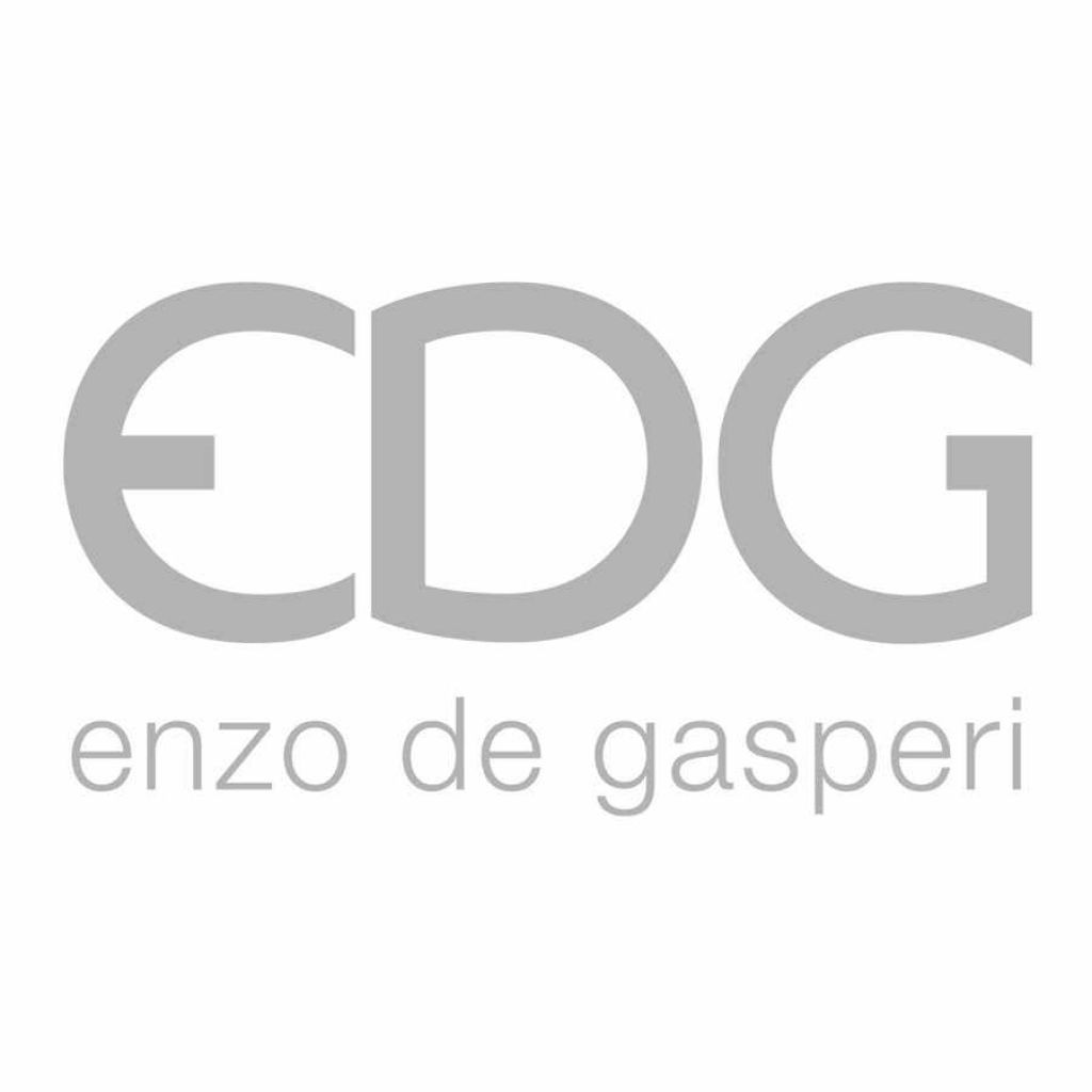 Logo Edg